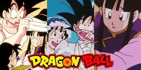 dbz chi chi|Things You Didn't Know About Chi.